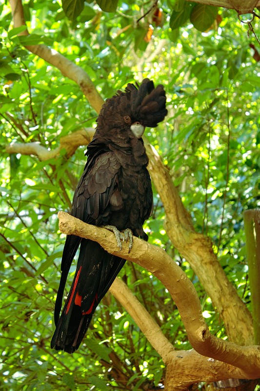 2009-11-06 22-02-16_5.jpg - Das ist Elvis, oder?